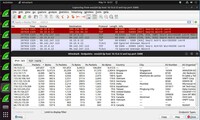 Wireshark Screenshot